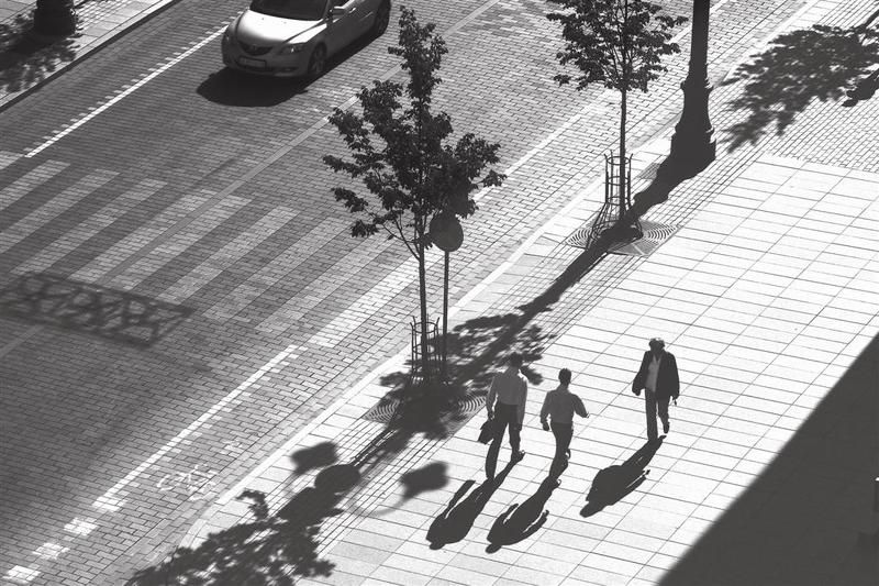 shadows Morning shadows of Vilnaphoto preview