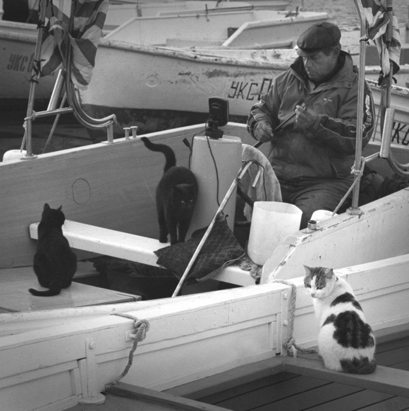 Рыбакиphoto preview