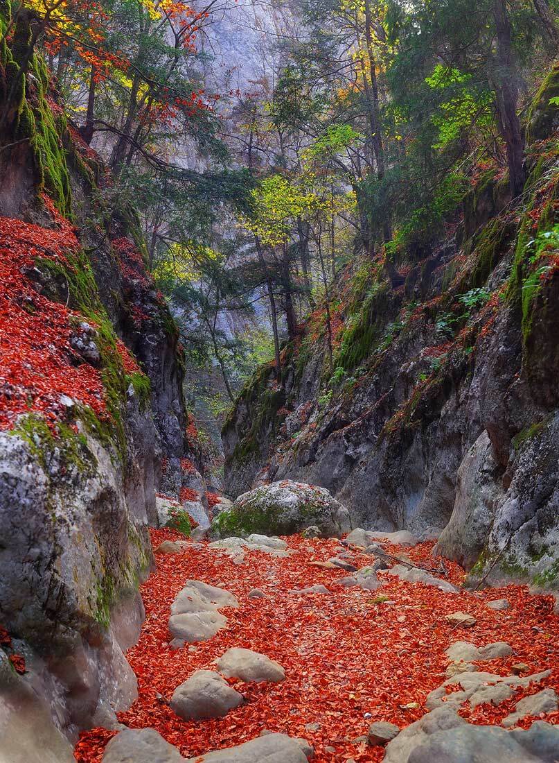 Коридоры большого каньона. Автор: sergioz крым, каньон, осень, sergioz