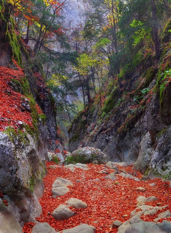 крым, каньон, осень Коридоры большого каньонаphoto preview