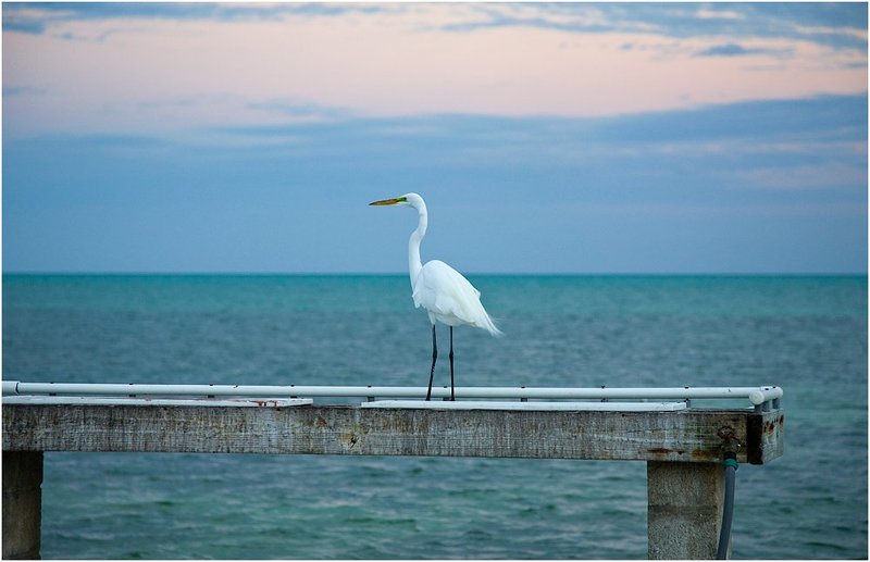 Ассольphoto preview