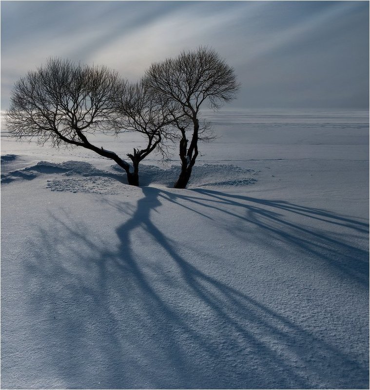Солнце ниже, длиннее тени............photo preview