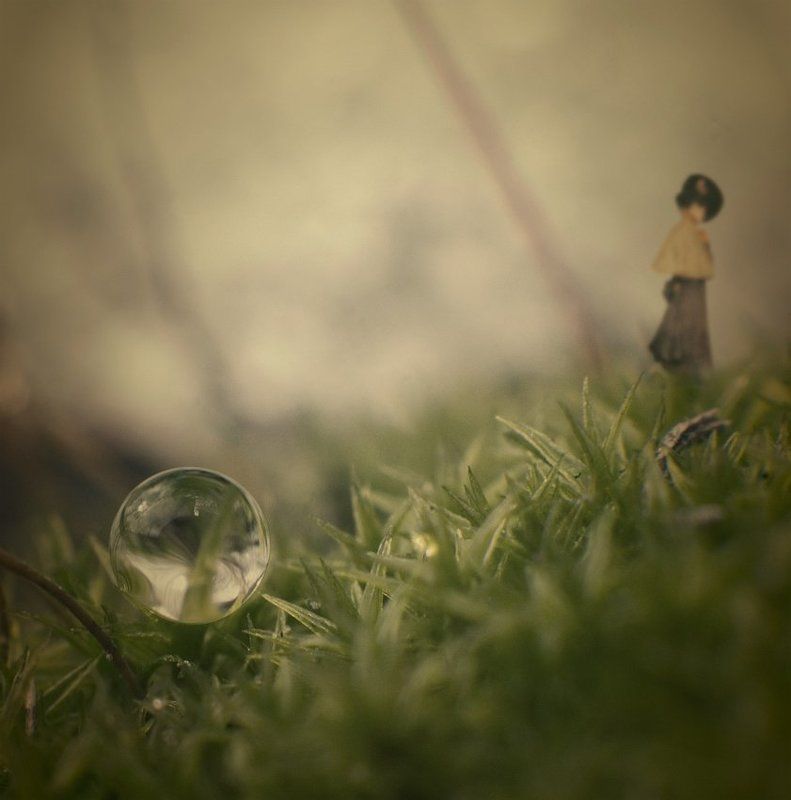 2010, барышня, капли, коллаж, макро, мох В поисках утраченого...photo preview