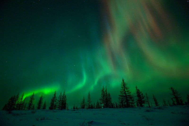 aurora borealis, северное сияние, природа, ночной пезаж, север Aurora Borealis#6photo preview