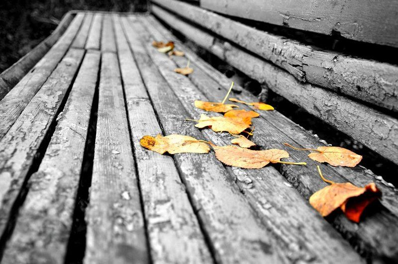 Осень года или осень жизни... ?photo preview