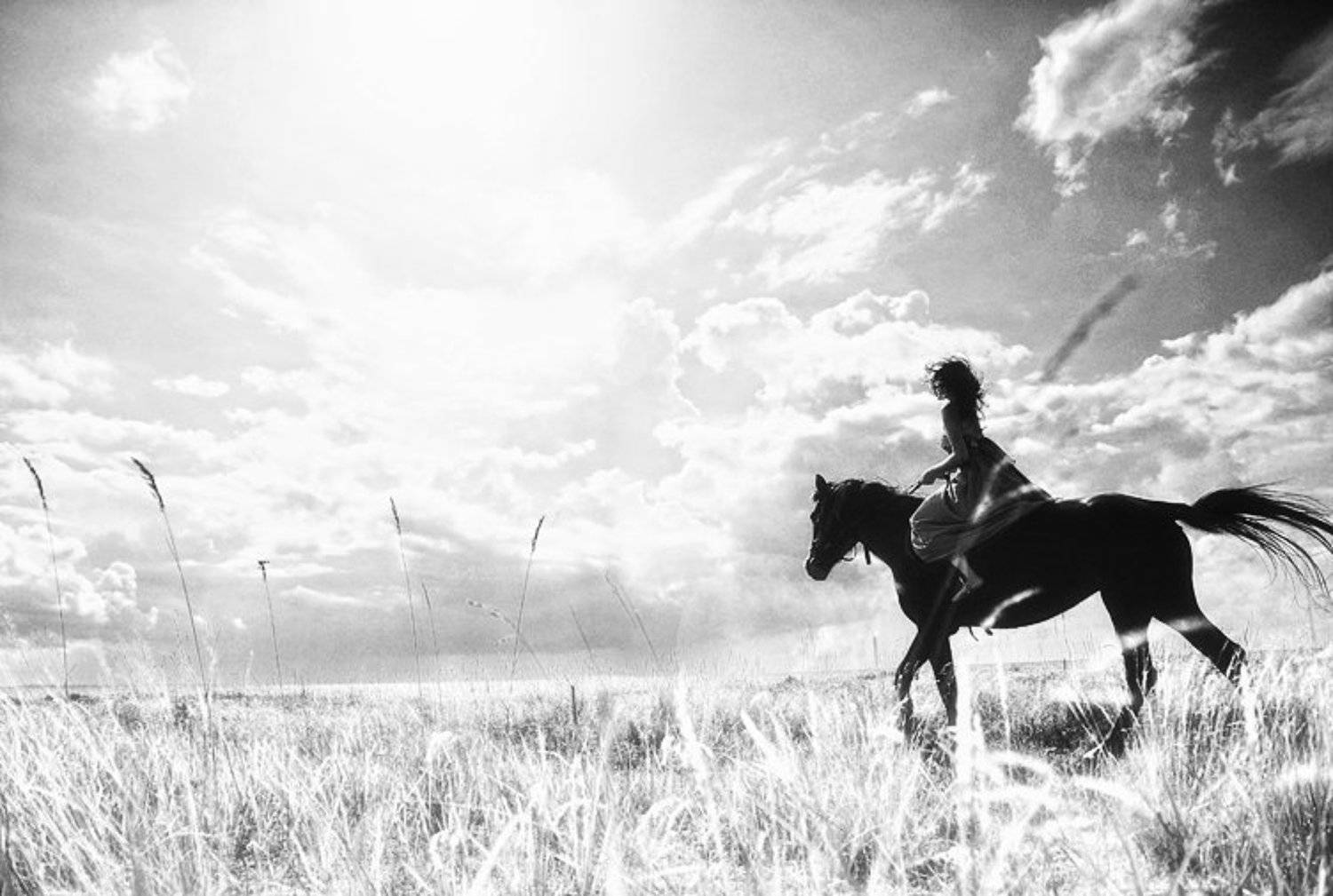 wwwest, Семенов Арсений