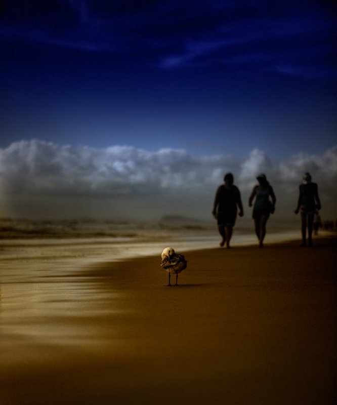 пляжphoto preview