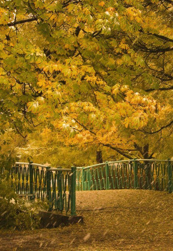 Осень в паркеphoto preview