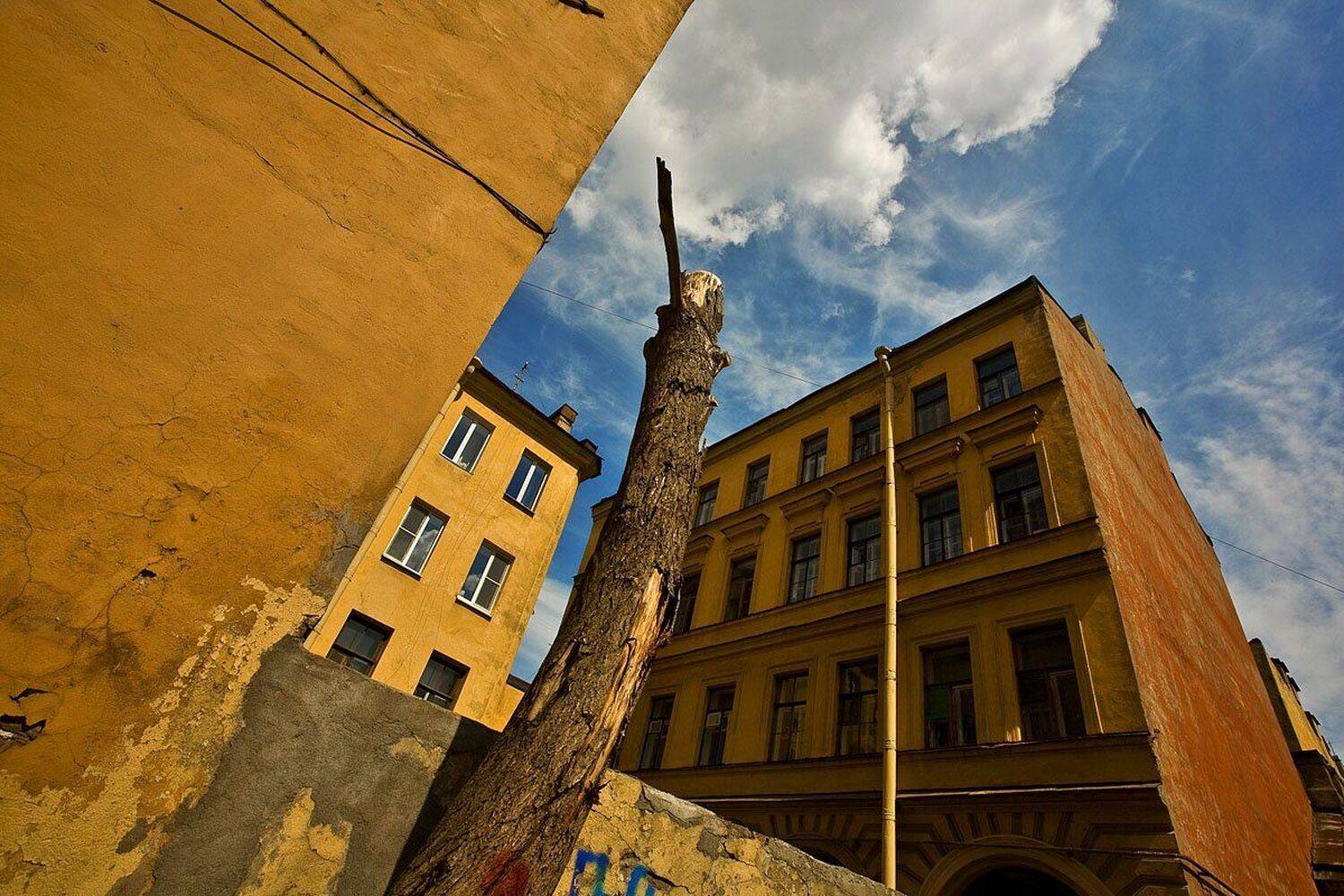 Автор: dimmm питер, dimmm