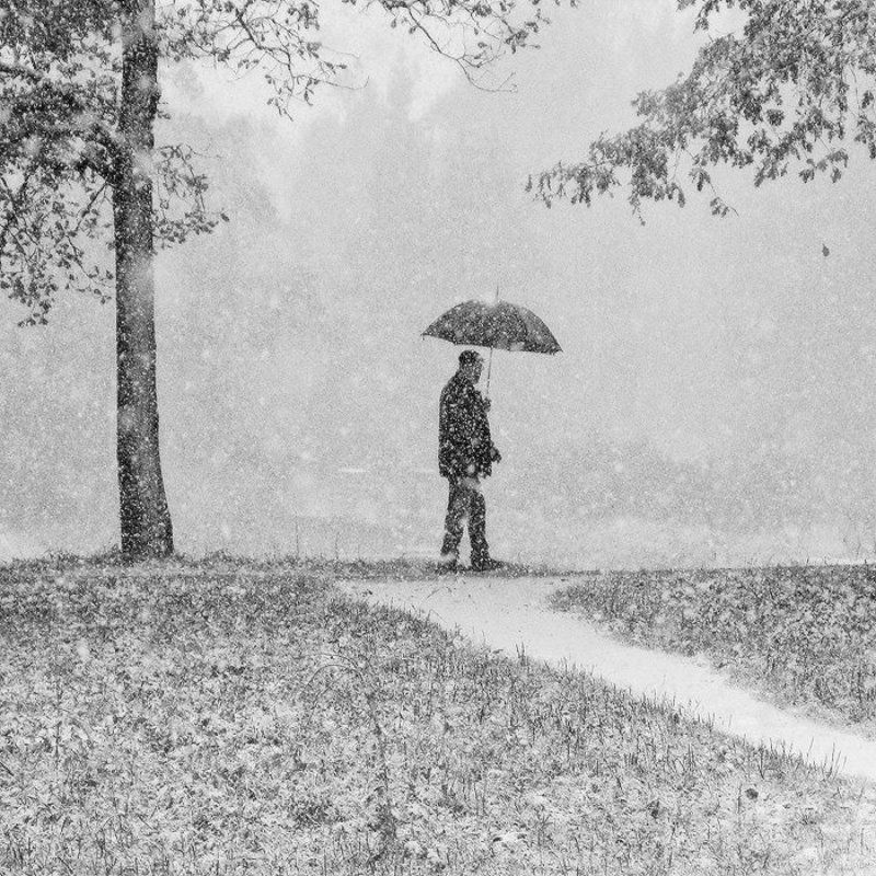 О большом зонте, первом снеге и оторвавшемся листеphoto preview