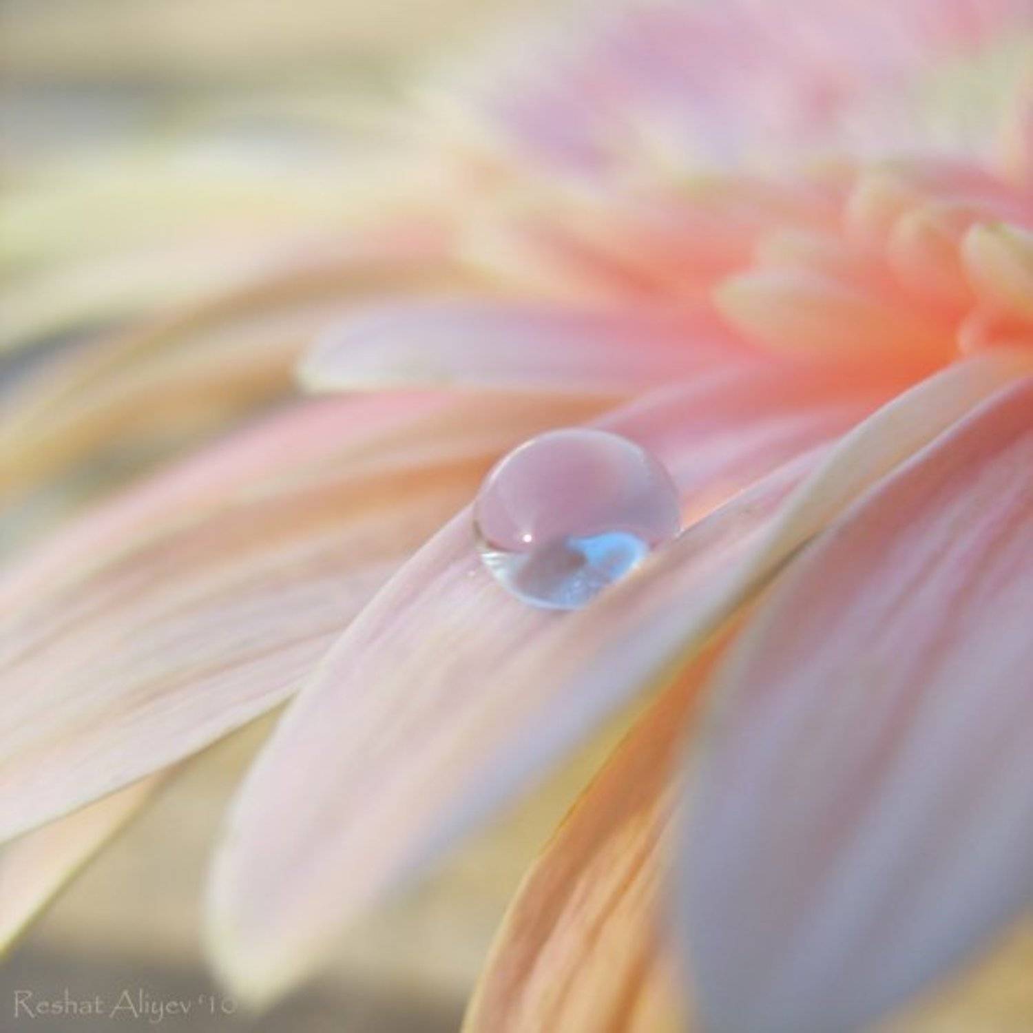 , Решат Алиев