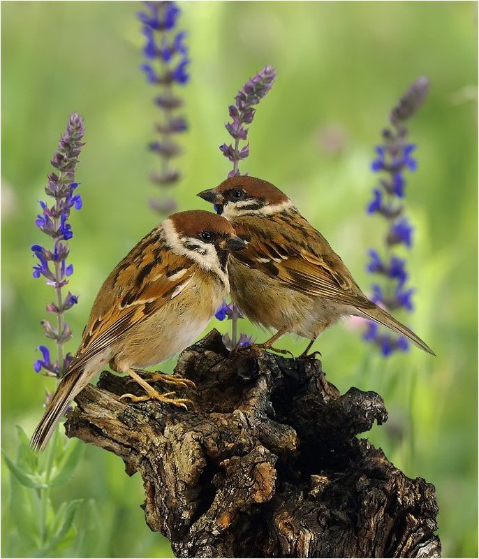 В ожидании третьегоphoto preview