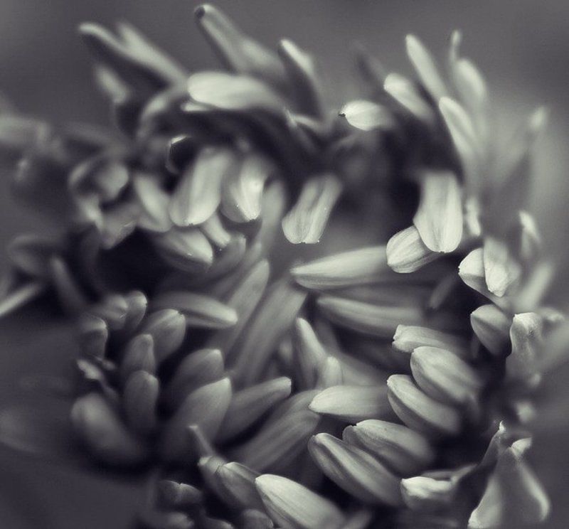 смятениеphoto preview