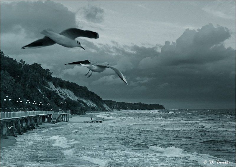 Вестникиphoto preview