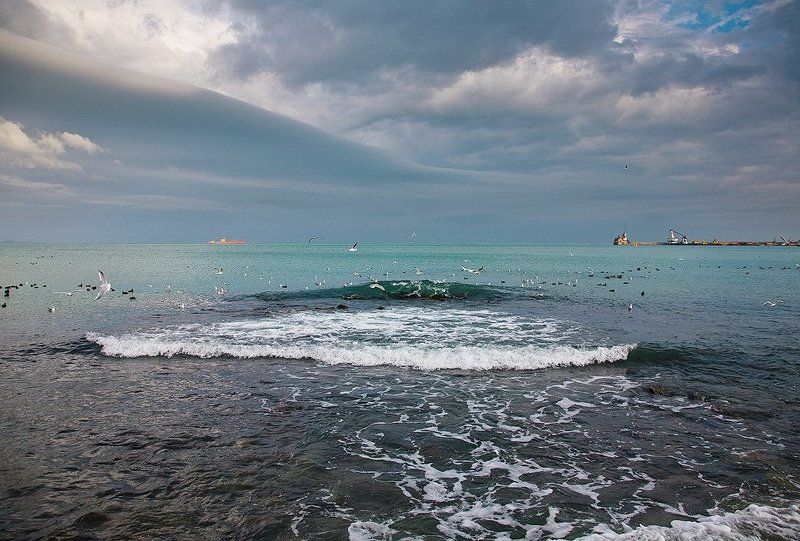 феодосия, порт,  чайки, волна В нашем порту, чайки ловили хлеб на лету...photo preview