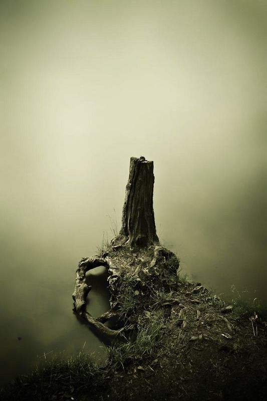 Тишинаphoto preview