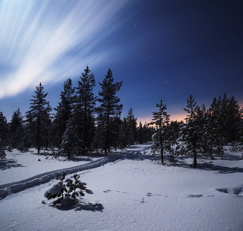 лес, зима, мороз, ночь, снег, следы, заяц, небо, звезды, дым Свет ночиphoto preview