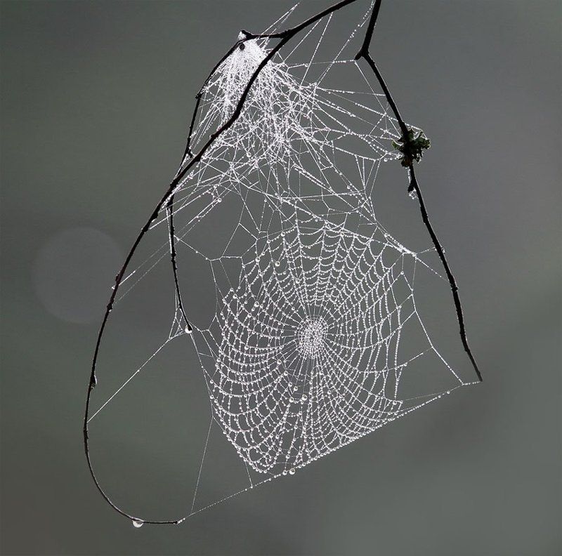 Вышивка на фоне туманаphoto preview