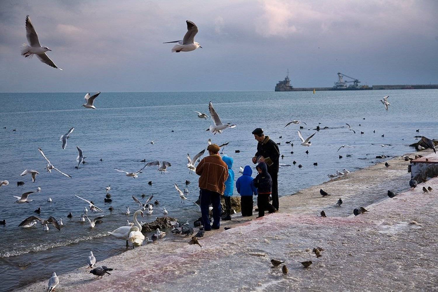 феодосия, порт,  чайки, tolyan139