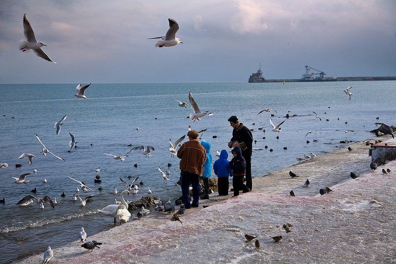 феодосия, порт,  чайки В нашем порту, чайки ловили хлеб на лету... vol 3.photo preview