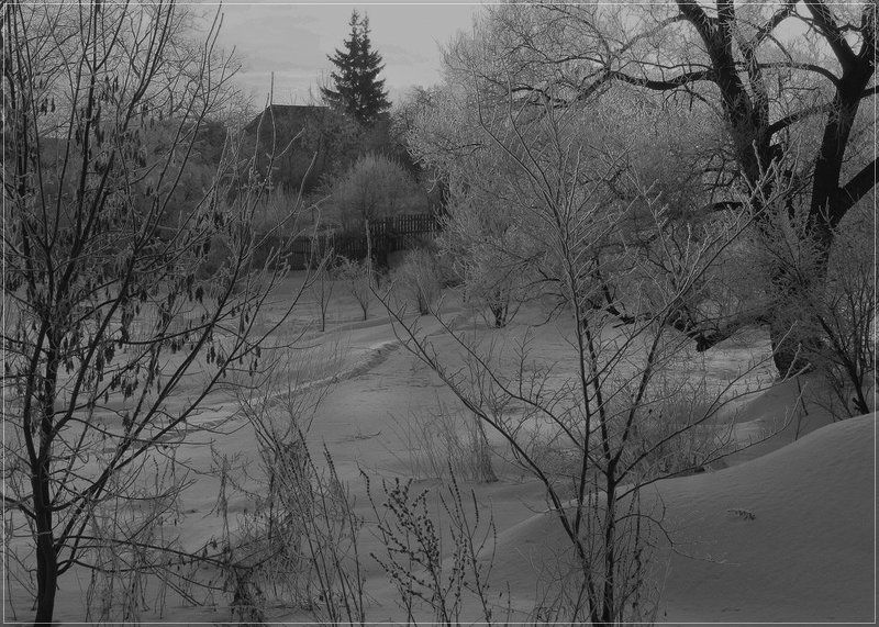 Пирогово-2photo preview