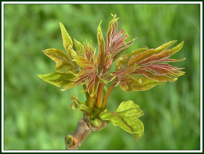 ПРОБУЖДЕНИЕ(скоро будет так!)photo preview