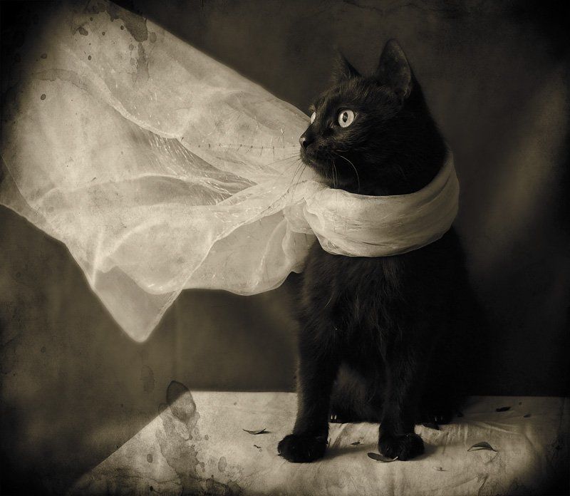 Dreaming about the summer...photo preview