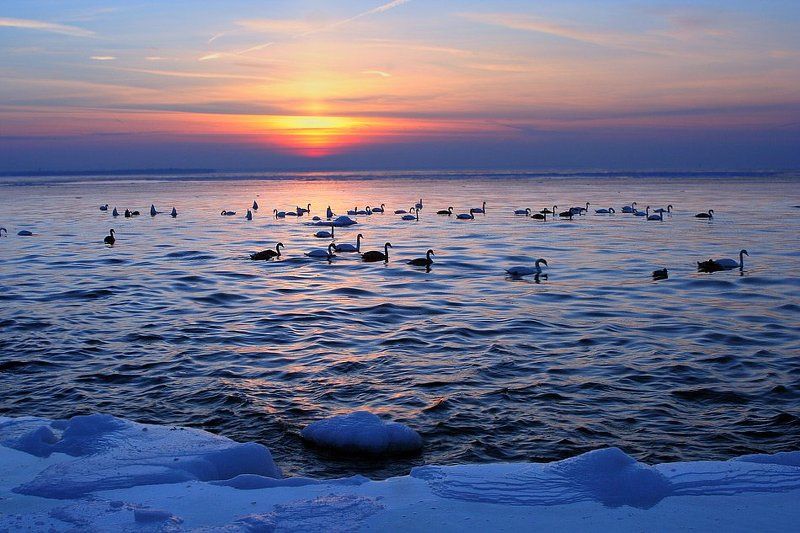 холодные сумеркиphoto preview