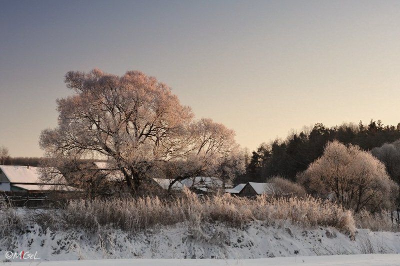 в царстве розового снегаphoto preview