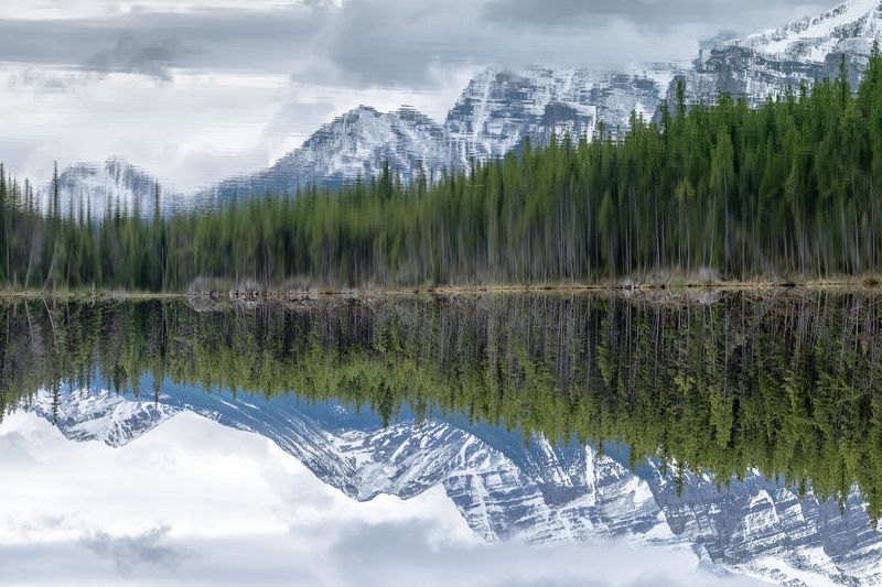 canada, alberta, banff, icefield, parkway, reflection, mirror, lake, forest Отраженияphoto preview