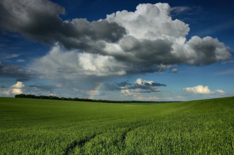 Мгновения после грозыphoto preview