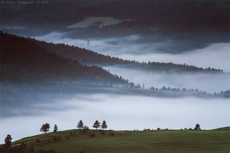 Kingdom Of Heaven XVIIIphoto preview