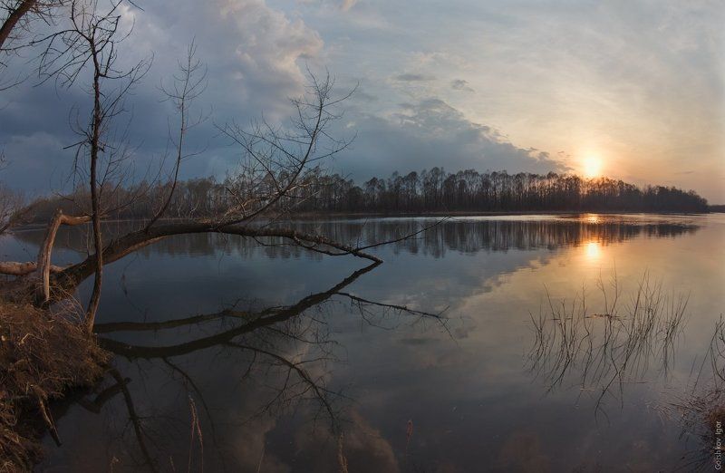 Весна, Дерево, Закат, Нижняя Кама, Половодье, Природа, Река, Фишай Майский вечер на Каме перед дождёмphoto preview
