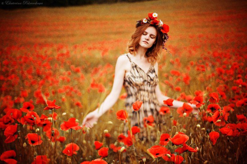 Крым маки девушка весна май ***photo preview