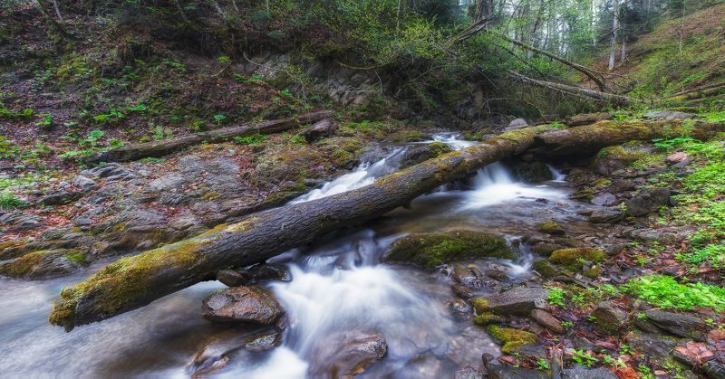 Большой Сахрайphoto preview