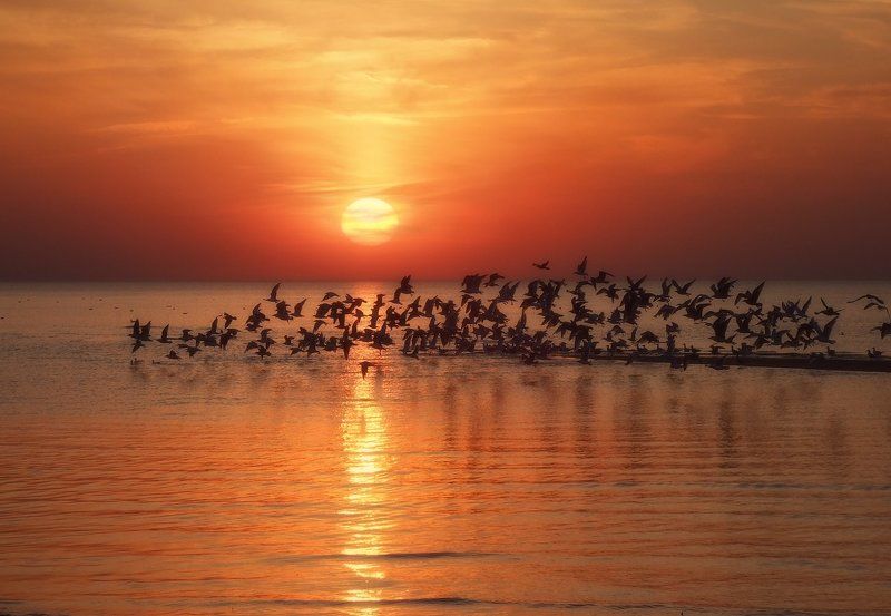 Страсти по Хичкоку (3)photo preview