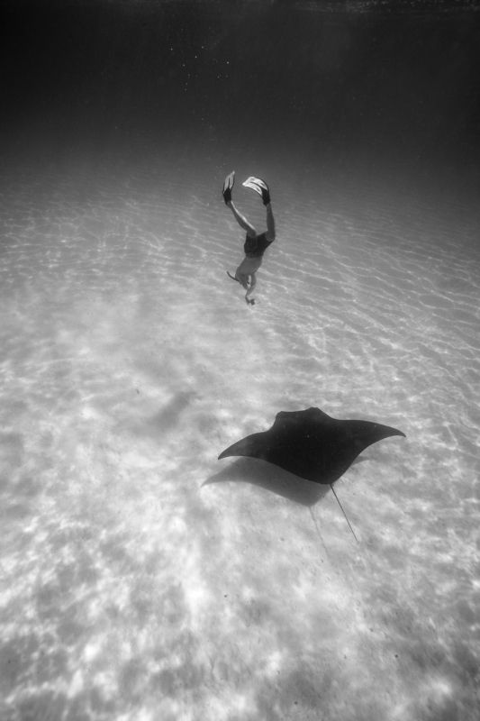 Манта, Фридайвер Подводное свиданиеphoto preview