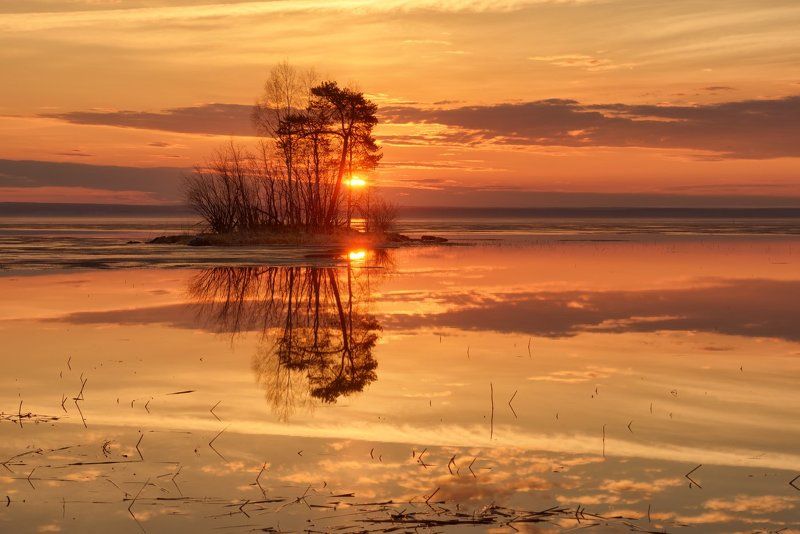 Доброе утро, Планета! :) фото превью