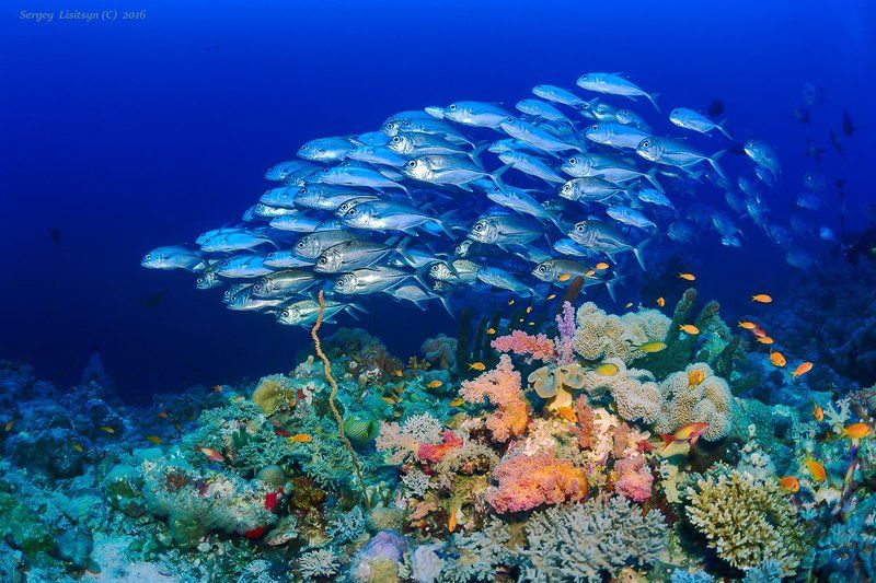 Прогулкаphoto preview