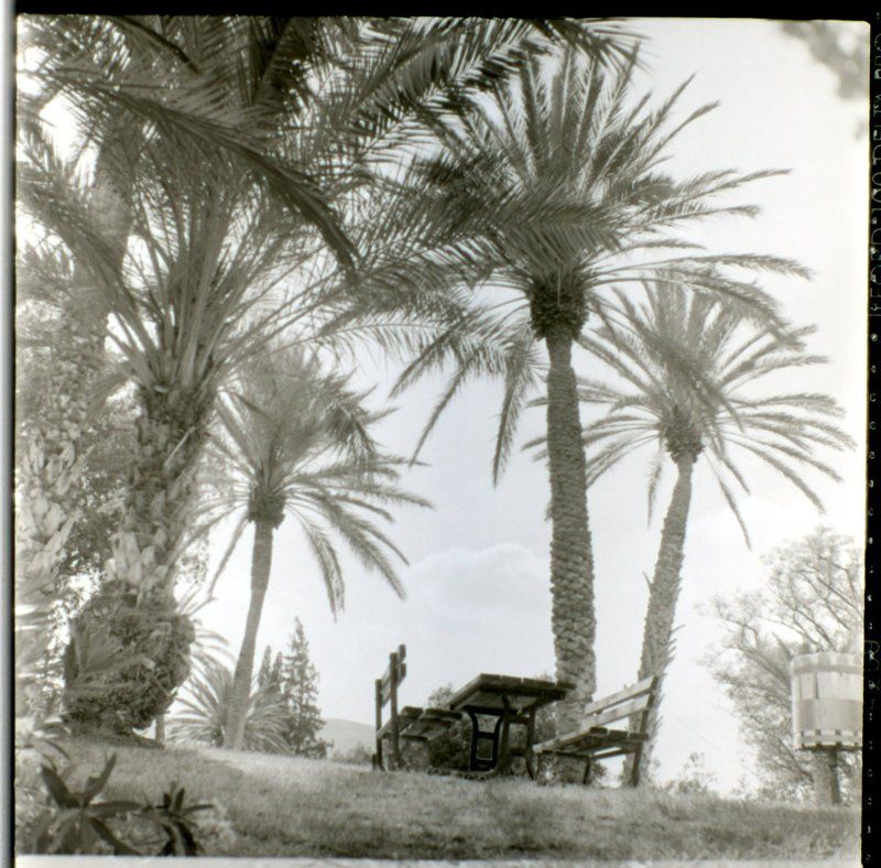 пленка, средний формат, 6х6, искра 2 Пикникphoto preview