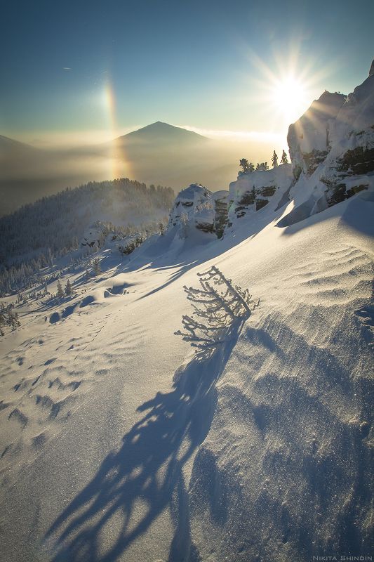 гало и тениphoto preview
