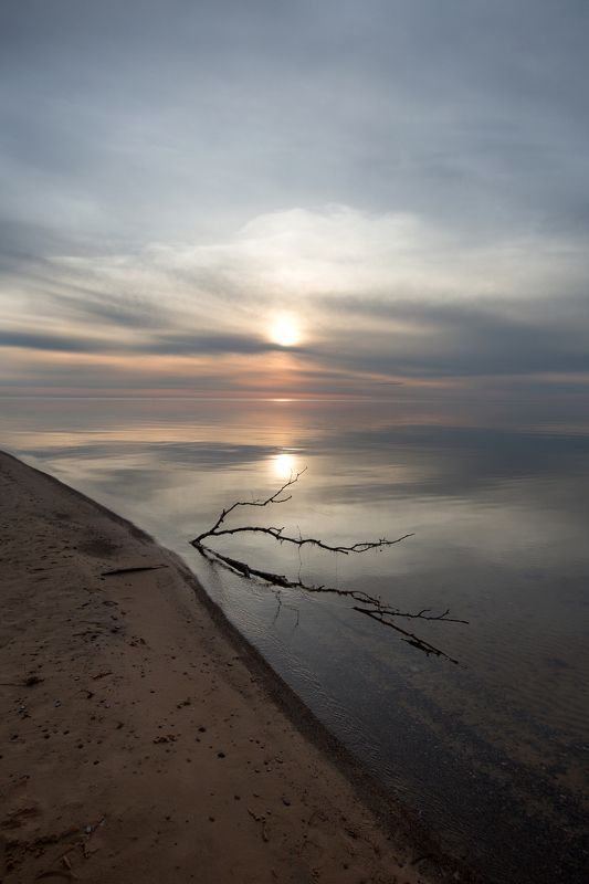 .............photo preview