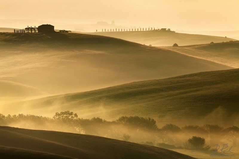 italy, tuscan, tuscan, san quirico d´orcia, pienza, spring, morning, sunlight, mist, fog, clouds, meadow, field, spring meadow,cypress, grove, sun, daniel rericha, Tuscan horizontphoto preview