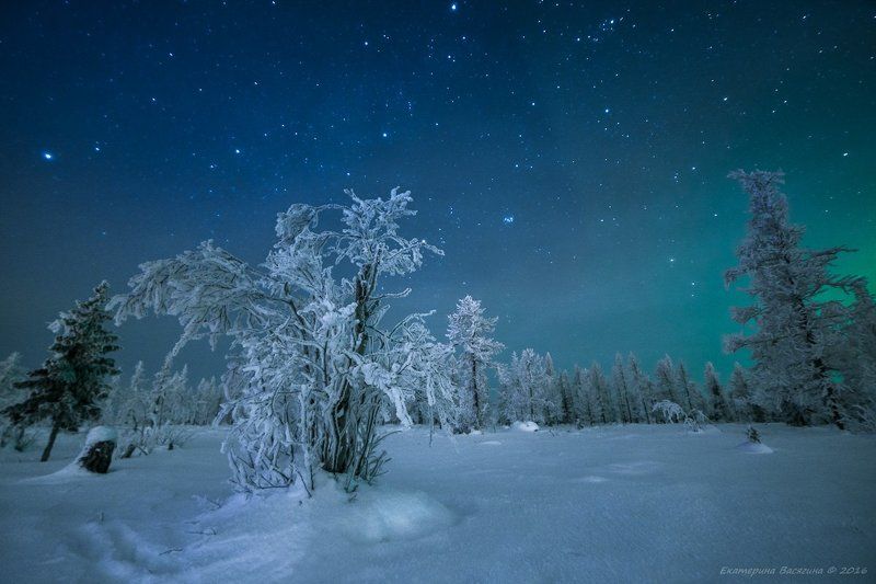 ямал Воспоминание о Ямальской зиме... фото превью