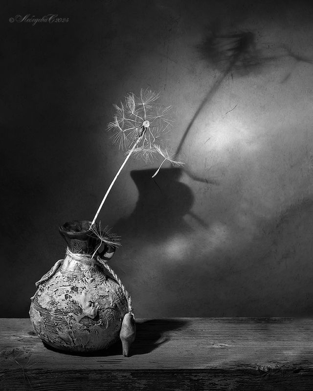 одуванчик,натюрморт,свет,тень Про облетевший одуванчикphoto preview