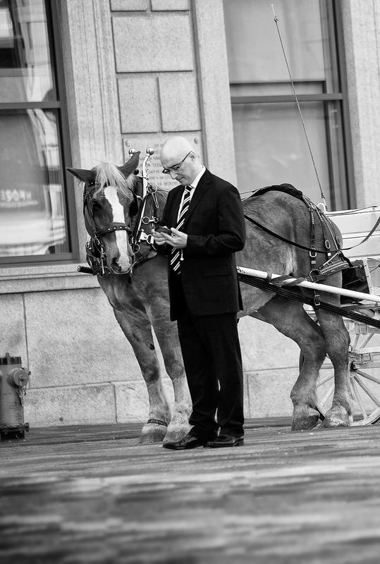 мужчина, лошадь, телефон, сообщение Что нам пишут?photo preview