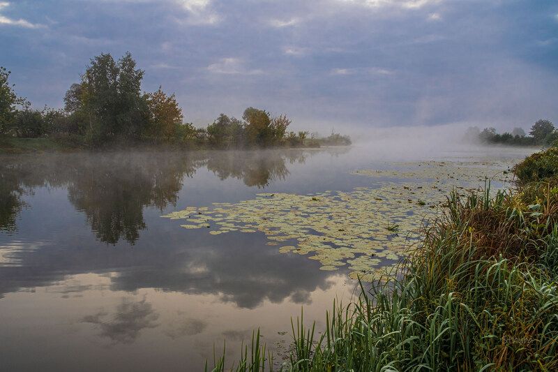 осень утро озеро облака туман природа пейзаж Пасмурно.photo preview