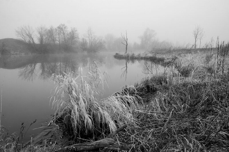 весна озеро туман природа пейзаж Омут.photo preview