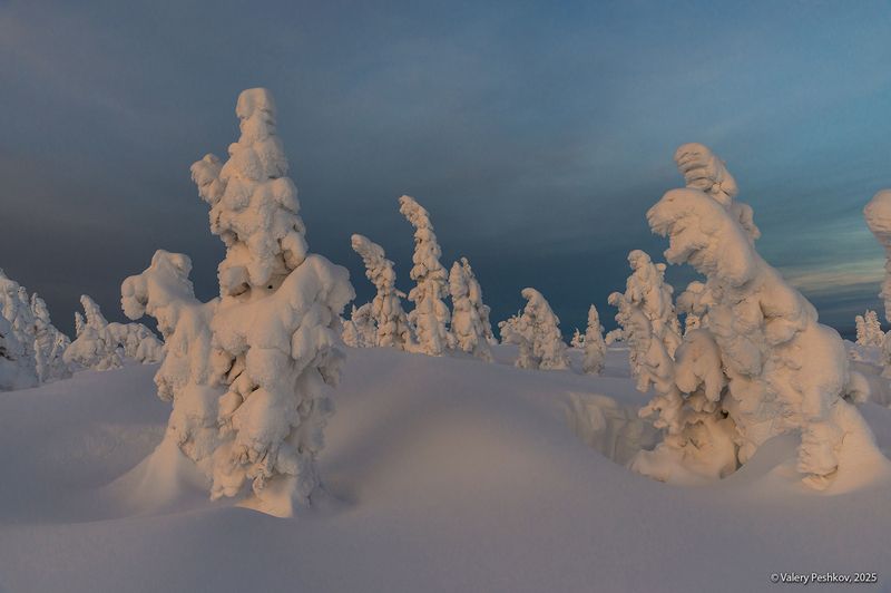 шерегеш, иней, пихты, гора зелёная, горная шория, зимнее утро, рассвет, снег, мороз, зима, сибирь Утро красит нежным светом…)photo preview