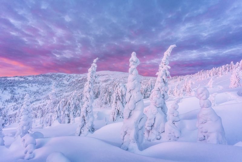 Один вечер на Аргыджекеphoto preview